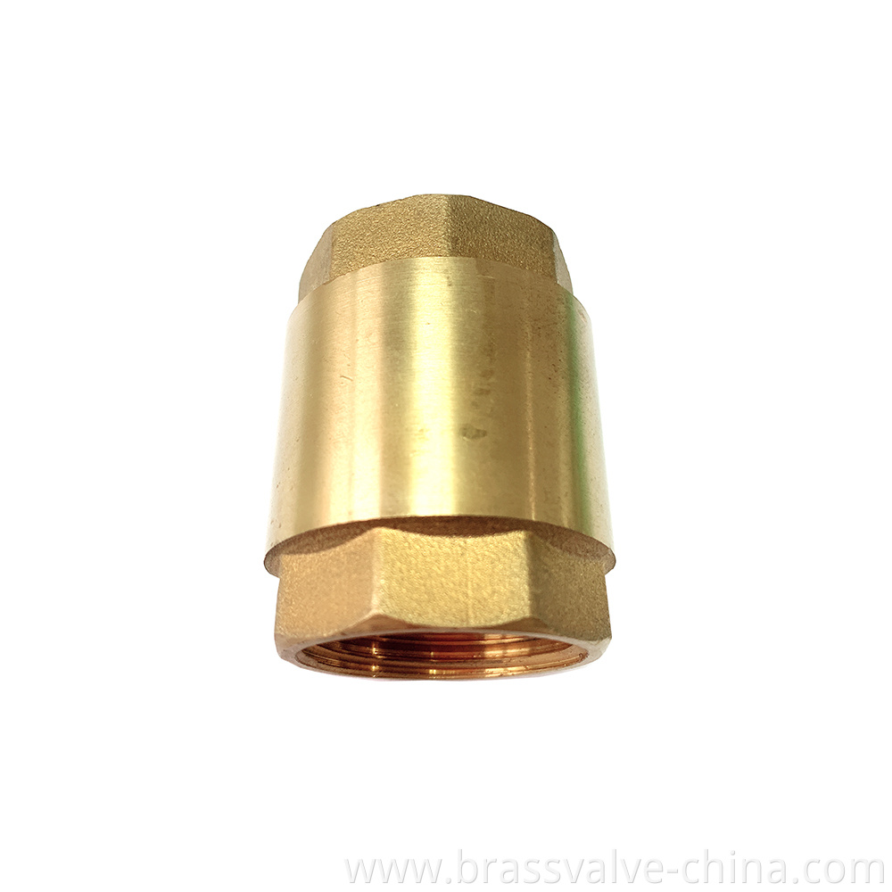 Spring Check Valve